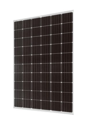Eging Pv